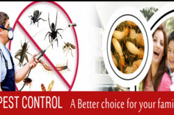 Fumigation Companies