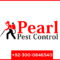 Pearl Pest Control