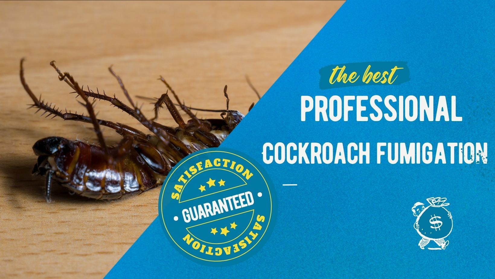 Cockroach fumigation